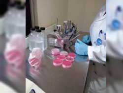 Análise de Água Mineral