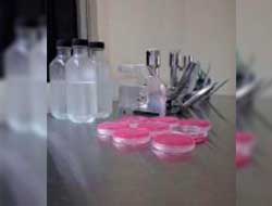 Análise Bacteriológica SP