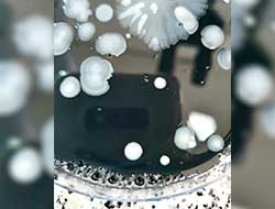 Análise Microbiológica