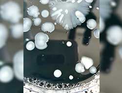 Análise microbiológica em água no abc