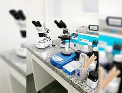 Análise Microbiológica no litoral