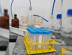 Coleta por Low Flow em SP